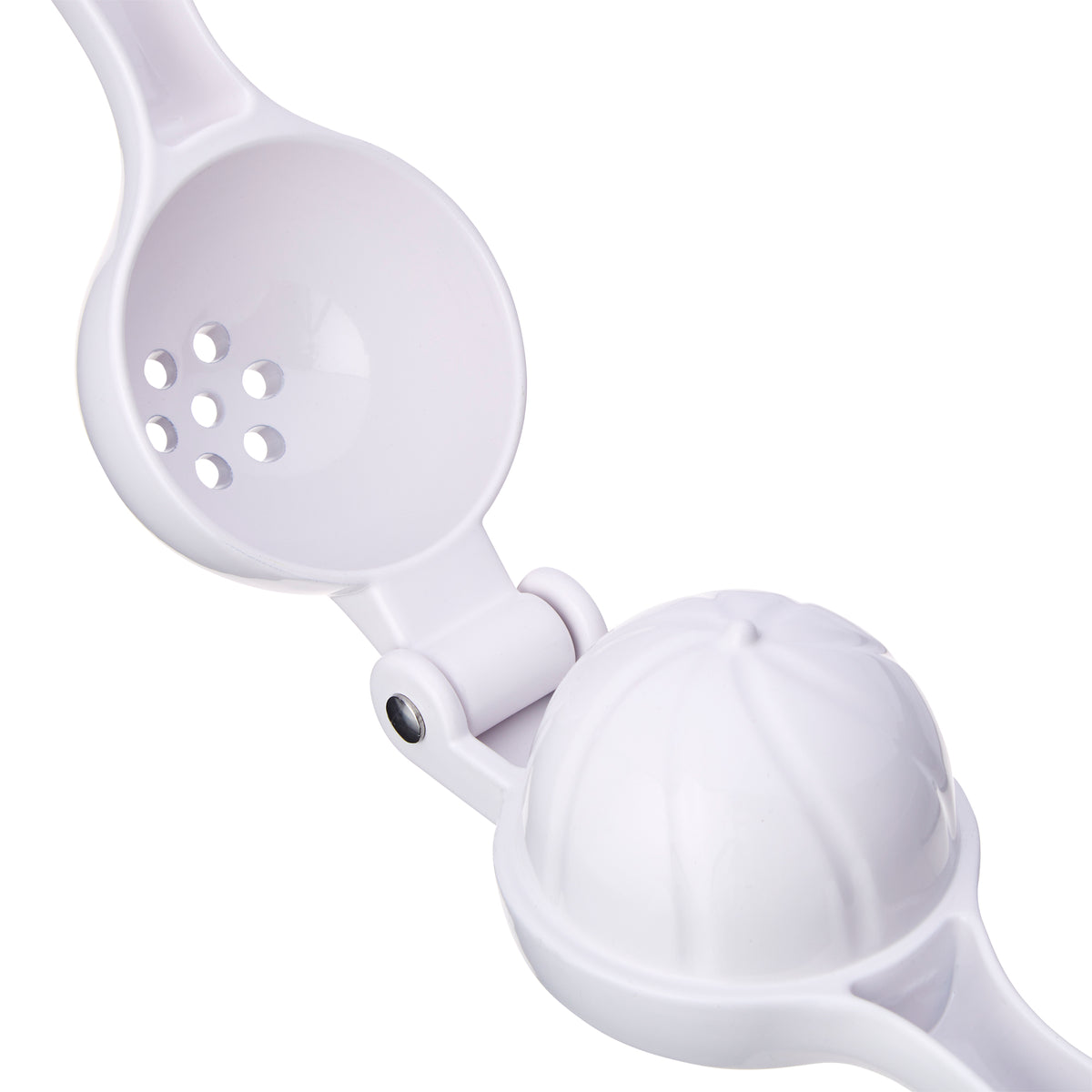 Garden Party Handheld Cast Citrus Press Juicer with Filter