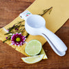 Garden Party Handheld Cast Citrus Press Juicer with Filter